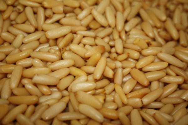 Pine Nuts - Image 2
