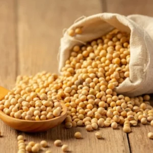Soy bean