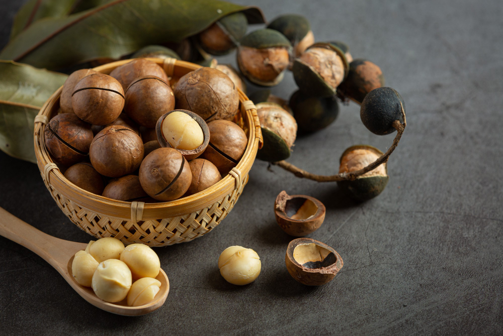 Macadamia Nuts